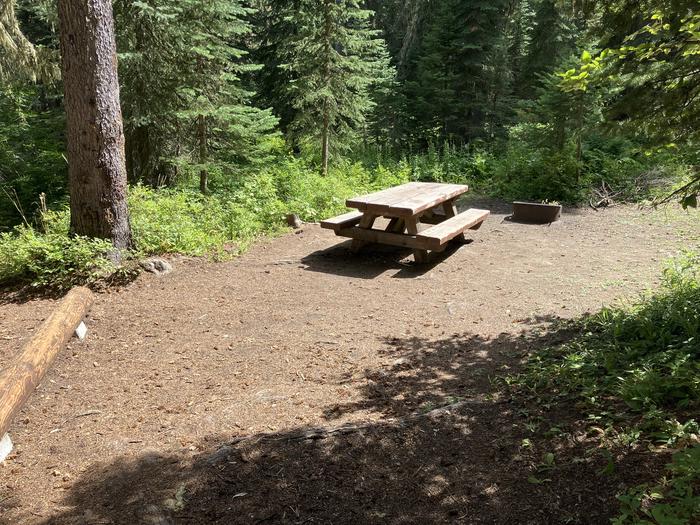 A photo of Site 11 of Loop Woodward at Woodward Campground with Picnic Table, Fire Pit, Shade, Tent Pad