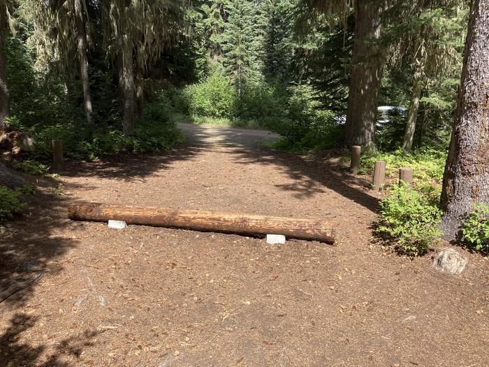 A photo of Site 11 of Loop Woodward at Woodward Campground with Picnic Table, Fire Pit, Shade, Tent Pad