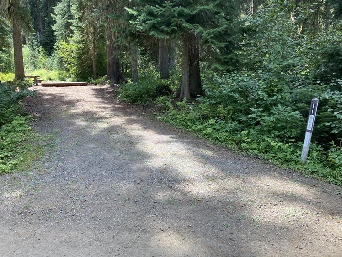 A photo of Site 11 of Loop Woodward at Woodward Campground with Picnic Table, Fire Pit, Shade, Tent Pad