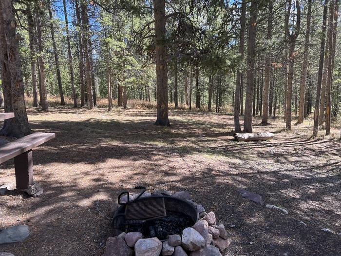 A photo of Site 15 of Loop BEAVR at Beaver View Campground with Fire Pit