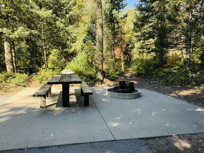 Picnic Table and Fire Ring