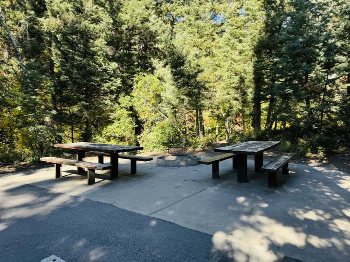 Picnic Table and Fire Ring