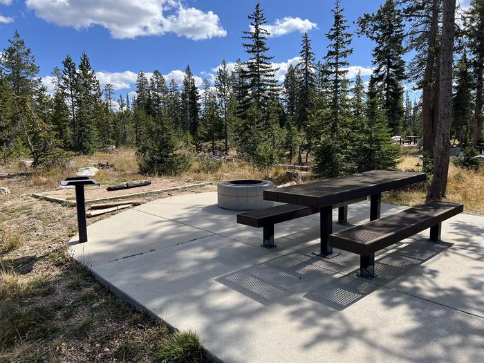 A photo of Site 20 of Loop WASHINGTON LAKE  at WASHINGTON LAKE with Picnic Table, Fire Pit