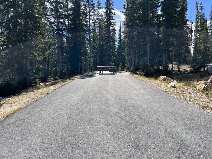 A photo of Site 30 of Loop WASHINGTON LAKE at WASHINGTON LAKE with No Amenities Shown