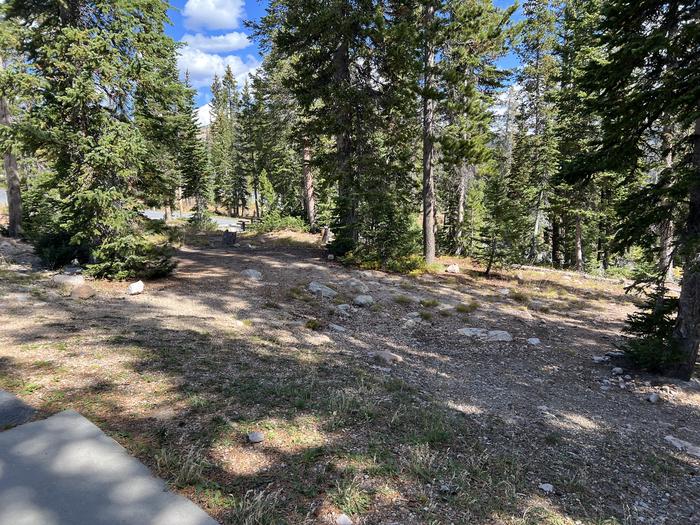 A photo of Site 30 of Loop WASHINGTON LAKE at WASHINGTON LAKE with No Amenities Shown