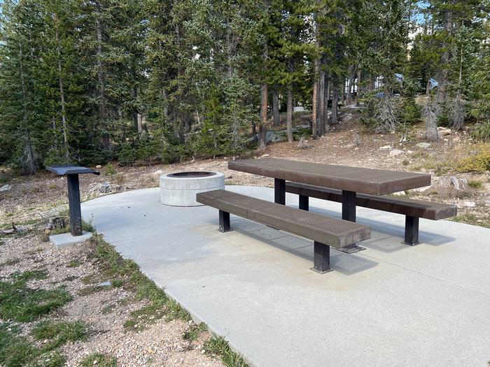 A photo of Site 37 of Loop WASHINGTON LAKE at WASHINGTON LAKE with Picnic Table, Fire Pit