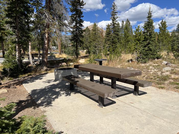 A photo of Site 25 of Loop WASHINGTON LAKE  at WASHINGTON LAKE with Picnic Table, Fire Pit