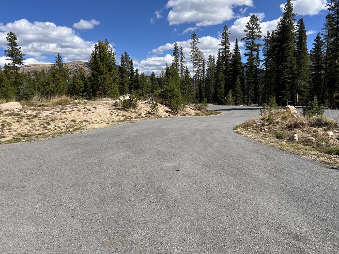 A photo of Site 25 of Loop WASHINGTON LAKE  at WASHINGTON LAKE with No Amenities Shown