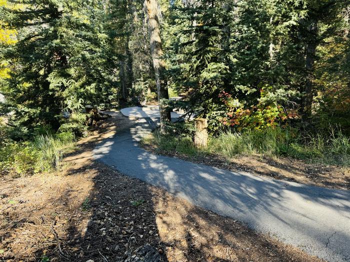 Path to Picnic Table 