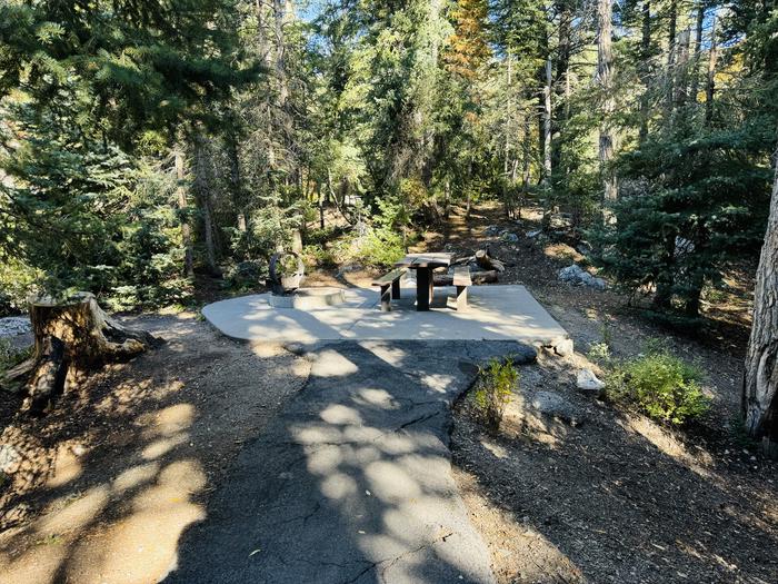 Path to Picnic Table 2