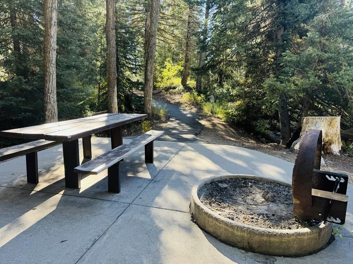 Picnic Table and Fire Ring 2