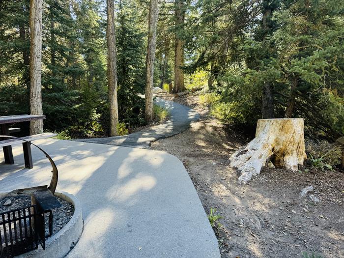 Picnic Table to Path