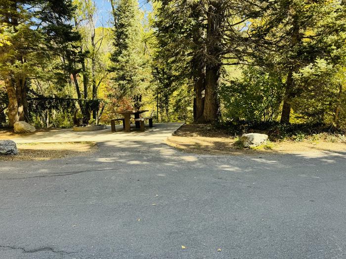 A photo of Site 054 of Loop SPIKE CAMP. Area B at GRANITE FLAT (UTAH)  with Picnic Table