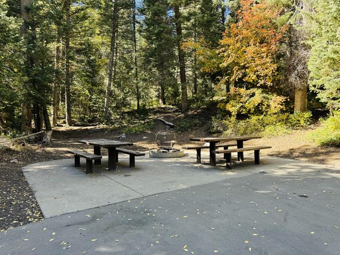 A photo of Site 053 of Loop SPIKE CAMP. Area B at GRANITE FLAT (UTAH)  with Picnic Table