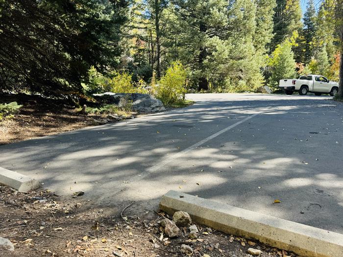 A photo of Site 053 of Loop SPIKE CAMP. Area B at GRANITE FLAT (UTAH)  with Picnic Table