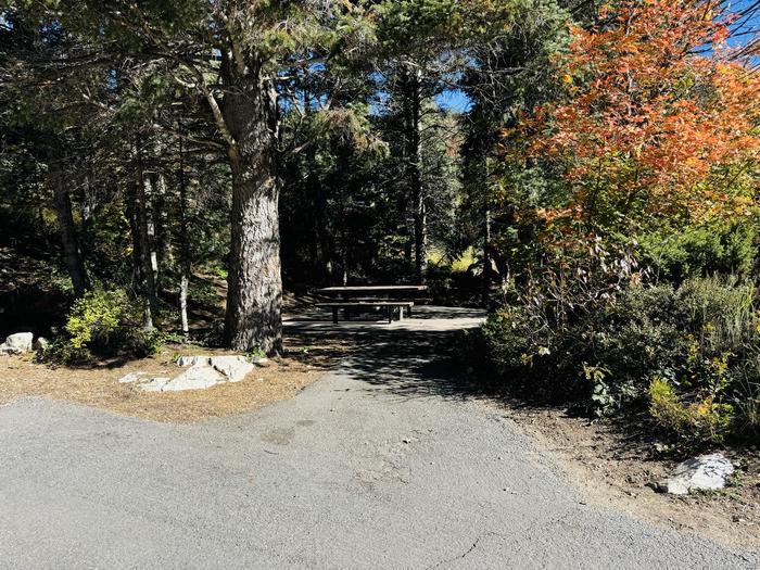 Parking Spur to Picnic Table