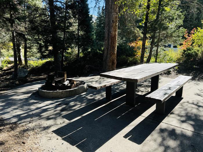 Picnic Table and Fire Ring