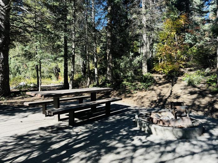 Picnic Table and Fire Ring 2Picnic Table and Fire Ring