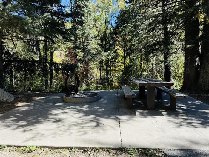 A photo of Site 054 of Loop SPIKE CAMP. Area B at GRANITE FLAT (UTAH)  with Picnic Table