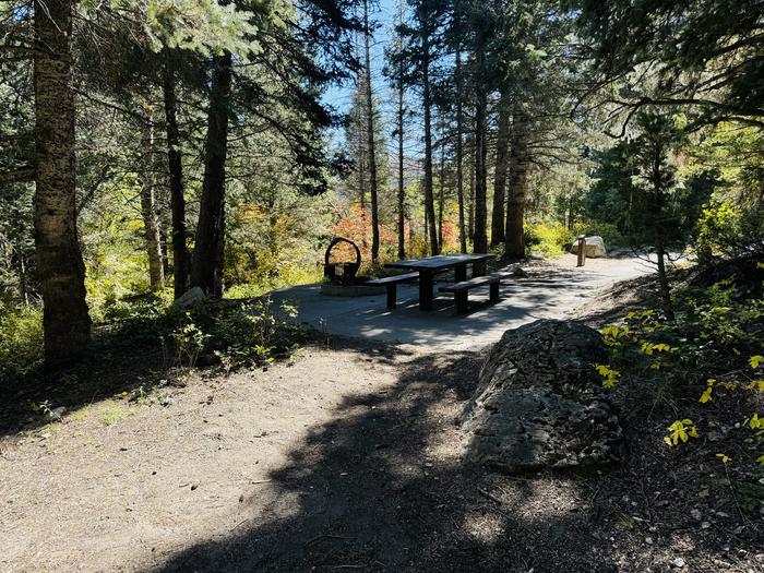 Picnic Table, Fire Ring, Tent Pad