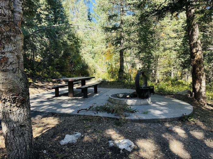 Picnic Table and Fire Ring