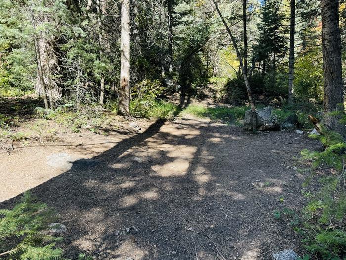 A photo of Site 053 of Loop SPIKE CAMP. Area B at GRANITE FLAT (UTAH)  with Picnic Table