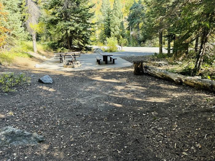 A photo of Site 053 of Loop SPIKE CAMP. Area B at GRANITE FLAT (UTAH)  with Picnic Table