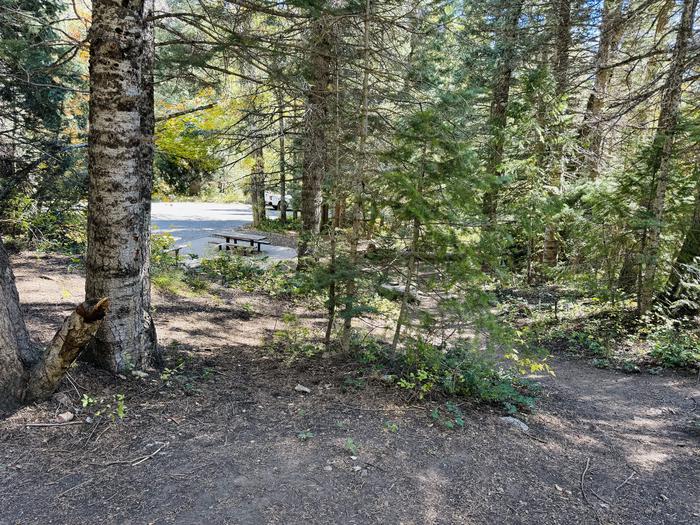 A photo of Site 053 of Loop SPIKE CAMP. Area B at GRANITE FLAT (UTAH)  with Picnic Table