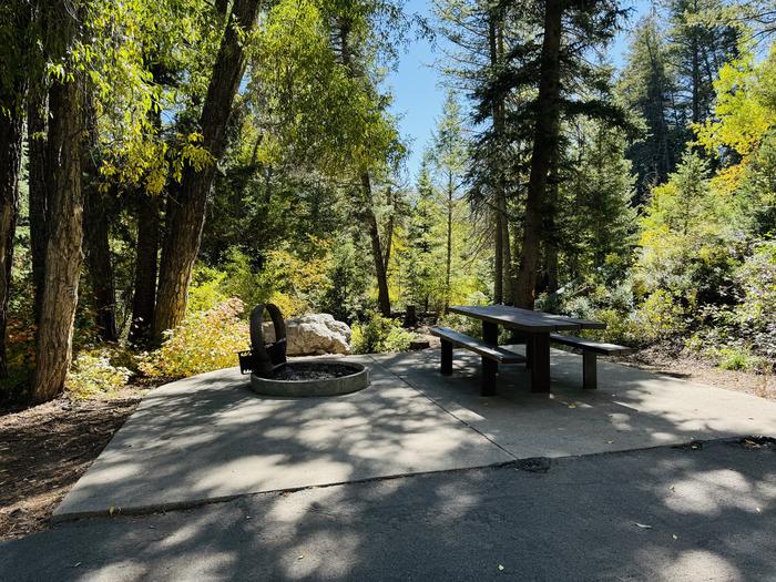 A photo of Site 040 of Loop BARRACKS, Area B at GRANITE FLAT (UTAH)  with Picnic Table