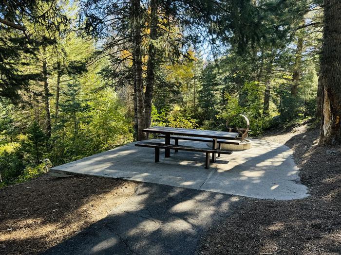 Picnic Table and Fire Ring 2