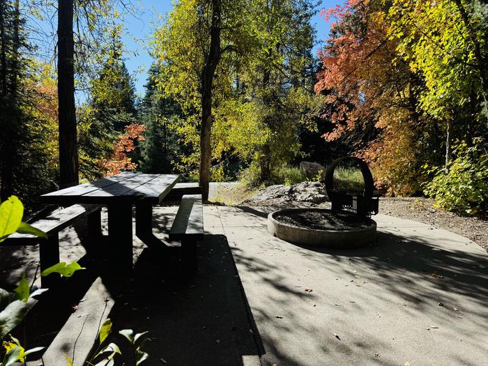 Picnic Table and Fire Ring 2