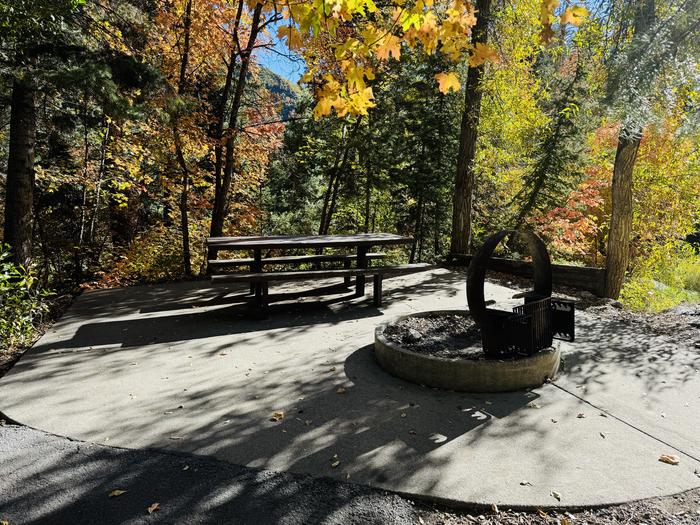 Picnic Table and Fire Ring