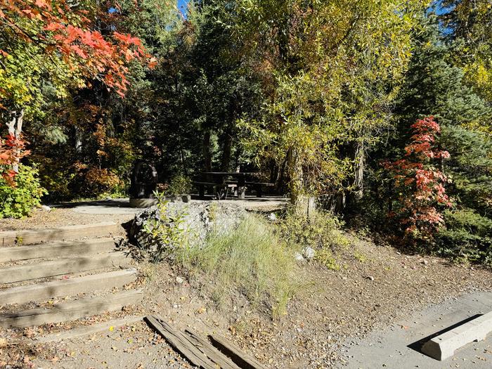 Stairs to Picnic Table