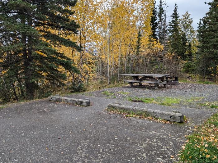 Flat campsite with table, firepit, and boreal forest in the backgroundCampsite 5, Loop Skyview