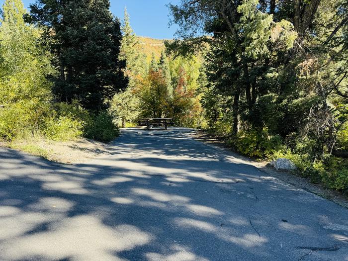 A photo of Site 033 of Loop MESS HALL, Area B at GRANITE FLAT (UTAH)  with Picnic Table