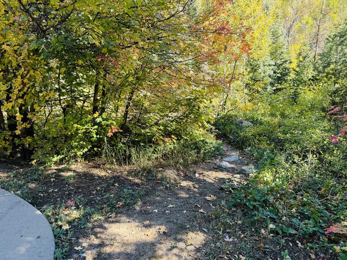 A photo of Site 033 of Loop MESS HALL, Area B at GRANITE FLAT (UTAH)  with Picnic Table