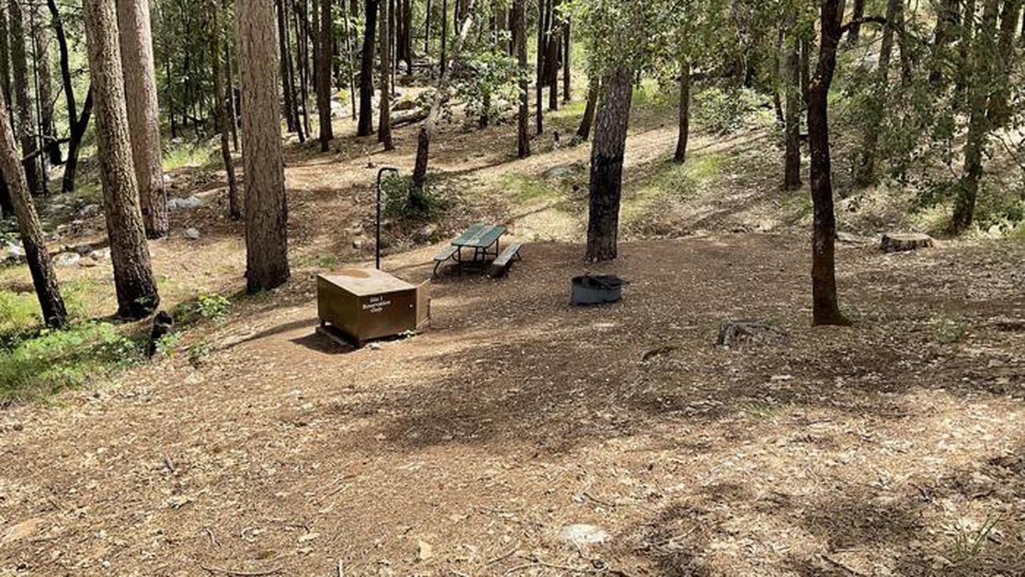 A photo of typical Sheep Camp Primitive campsite.