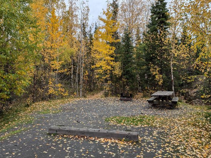 Flat campsite with table, firepit, and boreal forest in the backgroundCampsite 4, Loop Skyview