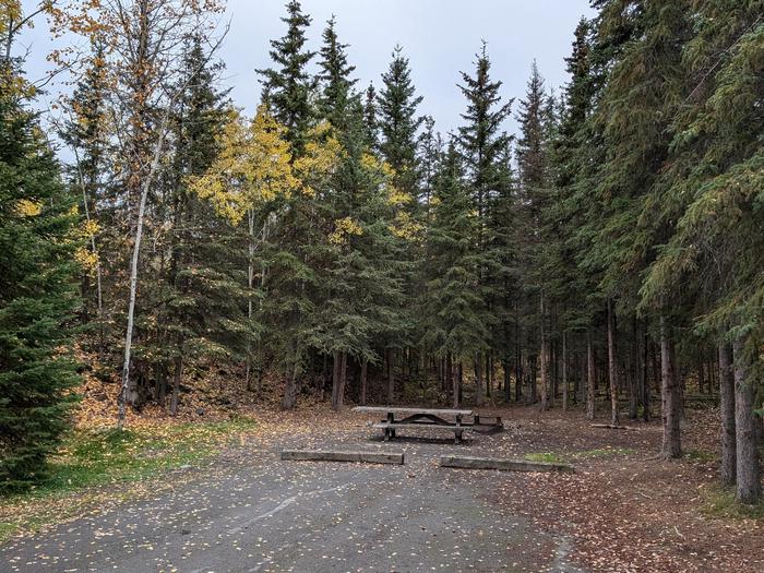 Flat campsite with table, firepit, and boreal forest in the backgroundCampsite 9, Loop Skyview