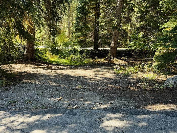 A photo of Site 055 of Loop SPIKE CAMP. Area B at GRANITE FLAT (UTAH)  with Picnic Table