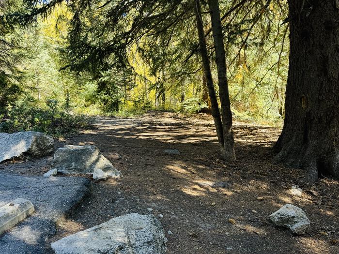 A photo of Site 055 of Loop SPIKE CAMP. Area B at GRANITE FLAT (UTAH)  with Picnic Table