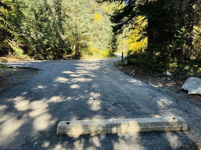 A photo of Site 055 of Loop SPIKE CAMP. Area B at GRANITE FLAT (UTAH)  with Picnic Table