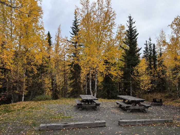 Flat campsite with table, firepit, and boreal forest in the backgroundCampsite 18, Loop Skyview