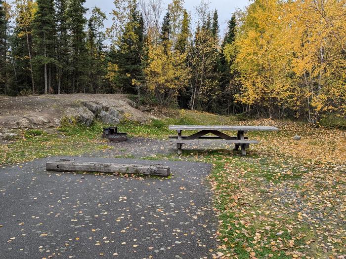 Flat campsite with table, firepit, and boreal forest in the backgroundCampsite 24, Loop Skyview