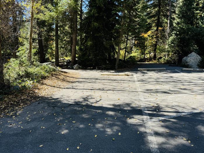 A photo of Site 059 of Loop SPIKE CAMP. Area B at GRANITE FLAT (UTAH)  with Picnic Table