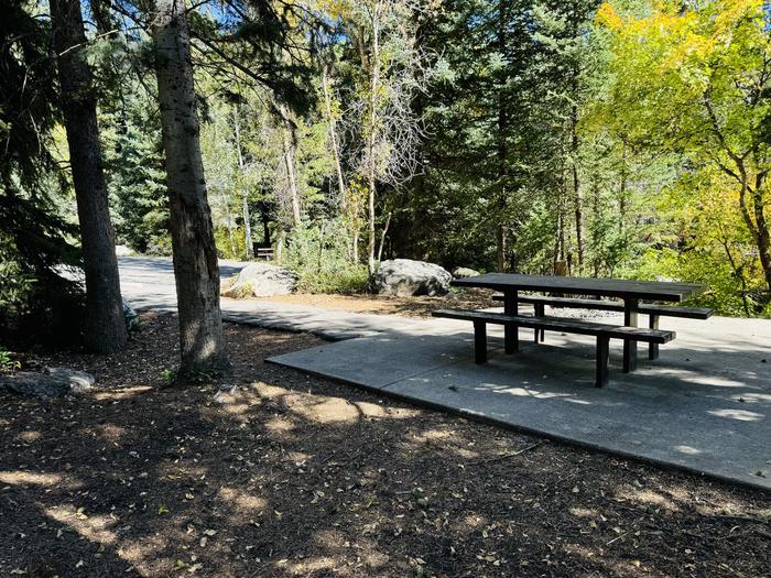 A photo of Site 059 of Loop SPIKE CAMP. Area B at GRANITE FLAT (UTAH)  with Picnic Table