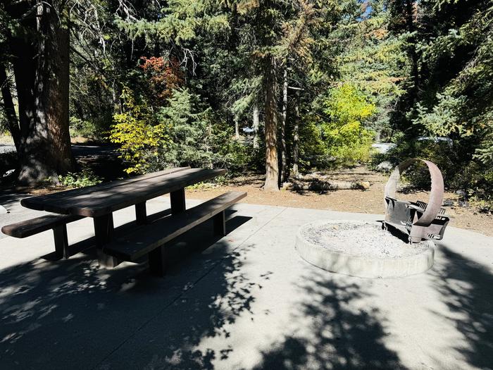 Picnic Table and Fire Ring