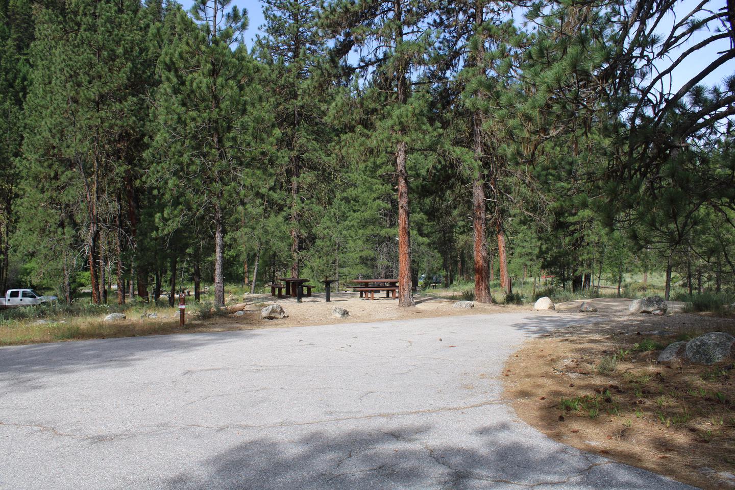 Site 3 trailer pad among treesSite 3 trailer pad 