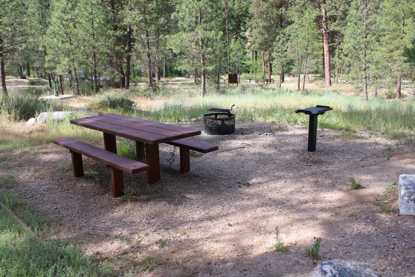 Site picnic table, fire ring, and table