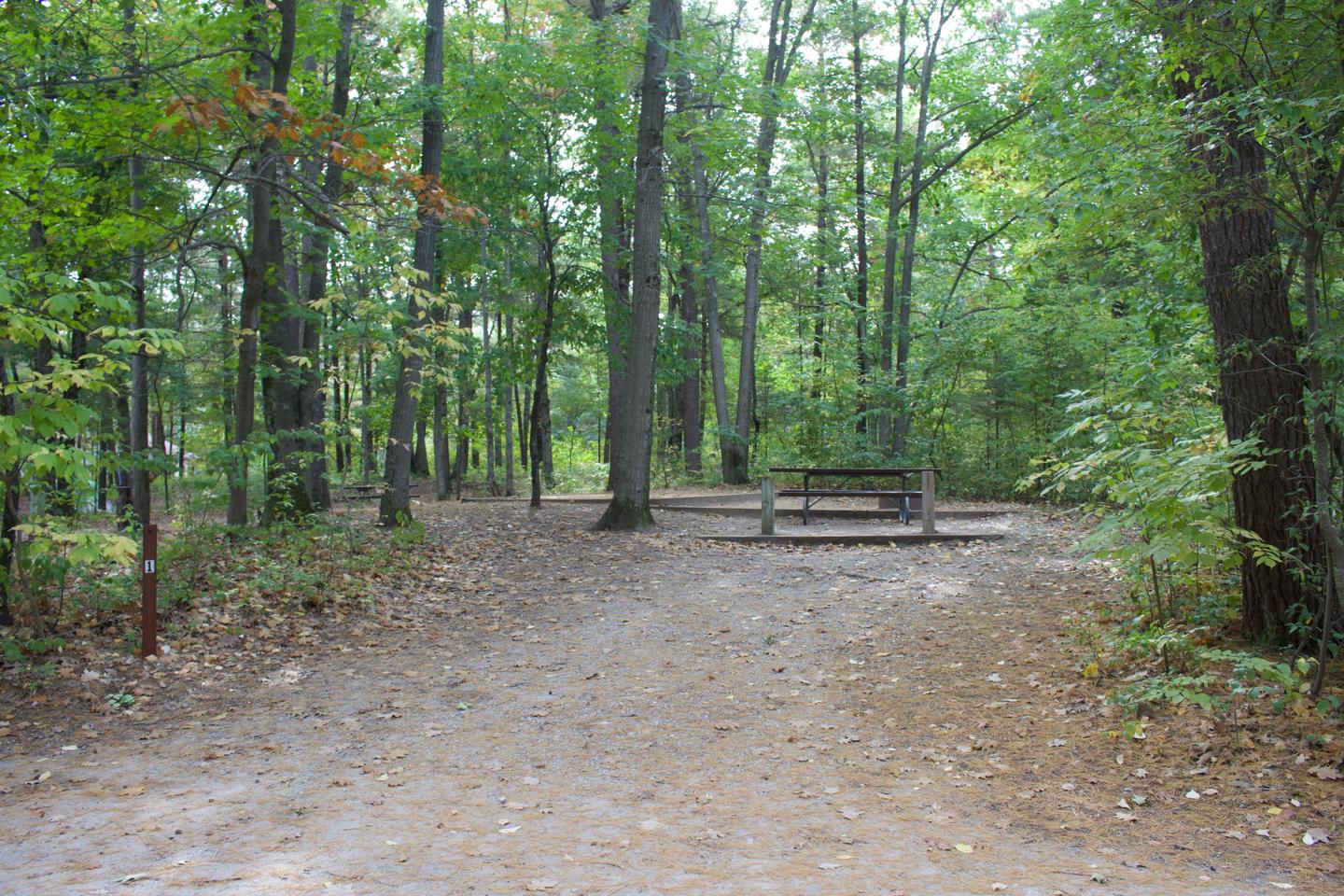 Campsite #1, view from road into site